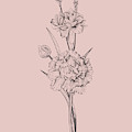 Carnation Blush Pink Flower by Naxart Studio Carnation Blush Pink Flower by Naxart Studio