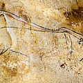 Chauvet Cave lions courting Digital Art by Weston Westmoreland Chauvet Cave lions courting Digital Art by Weston Westmoreland