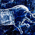 Chauvet Rhinoceros - Negative Digital Art by Weston Westmoreland Chauvet Rhinoceros - Negative Digital Art by Weston Westmoreland