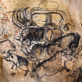 Chauvet - Rhinoceros Panel Digital Art by Weston Westmoreland Chauvet - Rhinoceros Panel Digital Art by Weston Westmoreland