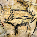 Chauvet Two Deer Digital Art by Weston Westmoreland Chauvet Two Deer Digital Art by Weston Westmoreland