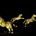 Christmas At The Living Desert Zoo - Cheetah Family by Colleen Cornelius Christmas At The Living Desert Zoo - Cheetah Family by Colleen Cornelius