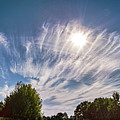 Cirrus Fibratus Clouds Over Trees Photograph by Science Photo Library