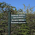 City sign Photograph by Martin Smith City sign Photograph by Martin Smith