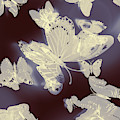 Classical Movement by Jorgo Photography - Wall Art Gallery Classical Movement by Jorgo Photography - Wall Art Gallery