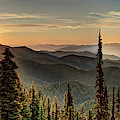Clearwater National Forest Panoramic Photograph by Leland D Howard