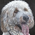 Cockapoo Painting by John Neeve Cockapoo Painting by John Neeve