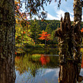 Color Between by Karin Pinkham