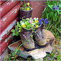 Colorado Vase Photograph by Peggy Dietz Colorado Vase Photograph by Peggy Dietz