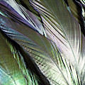 Colorful and Iridescent Black Crow Feathers Fleece Blanket
