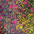 Colour Splatter Painting by Go Van Kampen Colour Splatter Painting by Go Van Kampen