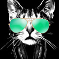 Cool DJ Cat by Filip Schpindel Cool DJ Cat by Filip Schpindel