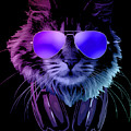 Cool DJ Furry Cat In Neon Lights by Filip Schpindel Cool DJ Furry Cat In Neon Lights by Filip Schpindel