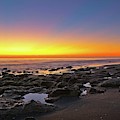 Coral Cove Nautical Twilight by Steve DaPonte Coral Cove Nautical Twilight by Steve DaPonte