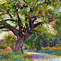 Country Lane Painting by Hailey E Herrera Country Lane Painting by Hailey E Herrera