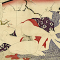 Couple Making Love near a Room Divider, 1799 by Kitagawa Utamaro Couple Making Love near a Room Divider, 1799 by Kitagawa Utamaro