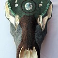 Cow Elk Skull by Charla Van Vlack Cow Elk Skull by Charla Van Vlack