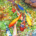 Coy Koi Painting by Hailey E Herrera Coy Koi Painting by Hailey E Herrera