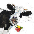 Crazy Cow Painting by Patricia Pinto Crazy Cow Painting by Patricia Pinto