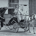 Cuban Horse Taxi Photograph by Tom Singleton Cuban Horse Taxi Photograph by Tom Singleton
