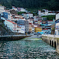 Cudillero Village Photograph by Tom Singleton Cudillero Village Photograph by Tom Singleton