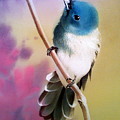 Curious Birdie on Branch Painting by Alina Oseeva Curious Birdie on Branch Painting by Alina Oseeva