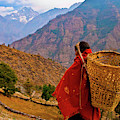 Daily life for a working woman in the Himalayas of Nepal Photograph by Leslie Struxness Daily life for a working woman in the Himalayas of Nepal Photograph by Leslie Struxness