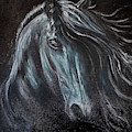 Dark Horse by Michelle Pier Dark Horse by Michelle Pier