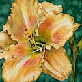 Daylily O by Diane Ziemski Daylily O by Diane Ziemski