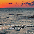 Dear Old World Photograph by Marcy Wielfaert Dear Old World Photograph by Marcy Wielfaert