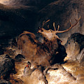 Deer And Deer Hounds In A Mountain Torrent by Edwin Landseer Deer And Deer Hounds In A Mountain Torrent by Edwin Landseer