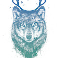 Deer Wolf by Balazs Solti Deer Wolf by Balazs Solti