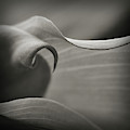 Delve Deeper Photograph by Michelle Wermuth Delve Deeper Photograph by Michelle Wermuth