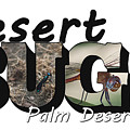 Desert Bugs Big Letter Photograph by Colleen Cornelius