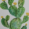 Desert Garden Beauty by Christiane Schulze Art And Photography Desert Garden Beauty by Christiane Schulze Art And Photography