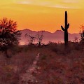 Desert Sunrise Trail Photograph by Judy Kennedy Desert Sunrise Trail Photograph by Judy Kennedy