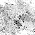 Design 145 Glass Explosion Digital Art by Lucie Dumas Design 145 Glass Explosion Digital Art by Lucie Dumas