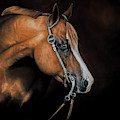 Diesel Pastel by Joni Beinborn Diesel Pastel by Joni Beinborn