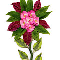 Diffrent Flowers by Budiati Budiati Diffrent Flowers by Budiati Budiati