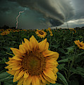 Disorder by Aaron J Groen Disorder by Aaron J Groen