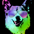 DJ Corgi With Sunglasses by Filip Schpindel DJ Corgi With Sunglasses by Filip Schpindel