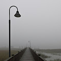 Dockside Southern Fog Photograph by Dale Powell Dockside Southern Fog Photograph by Dale Powell