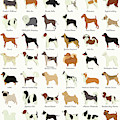 Dog Breeds by Zapista OU Dog Breeds by Zapista OU