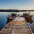 Dog Lake Panorama Photograph by Joe Holley Dog Lake Panorama Photograph by Joe Holley