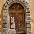 Door Thirty Two of Tuscany Photograph by David Letts Door Thirty Two of Tuscany Photograph by David Letts