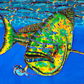 Dorado and Ballyhoo Fish Painting by Daniel Jean-Baptiste Dorado and Ballyhoo Fish Painting by Daniel Jean-Baptiste