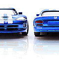 Double The Sting by Jorgo Photography - Wall Art Gallery Double The Sting by Jorgo Photography - Wall Art Gallery