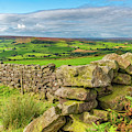 Drystone wall, Danby, North York Moors by David Ross