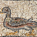 Duck mosaic Photograph by Steve Estvanik Duck mosaic Photograph by Steve Estvanik