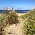 Dune Beach Path Photograph by Jeanette French Dune Beach Path Photograph by Jeanette French